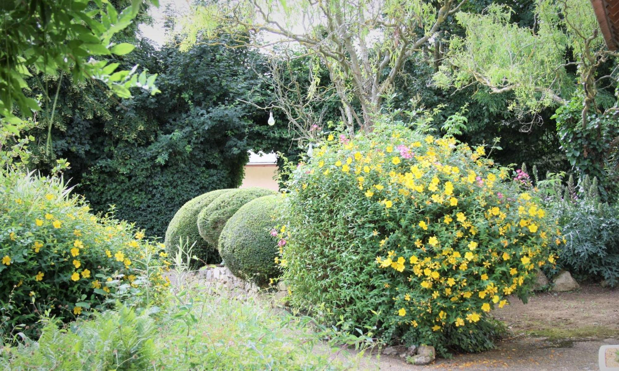 Bed and Breakfast Manoir De La Basse-Cour Asnieres-sur-Vegre Exterior foto